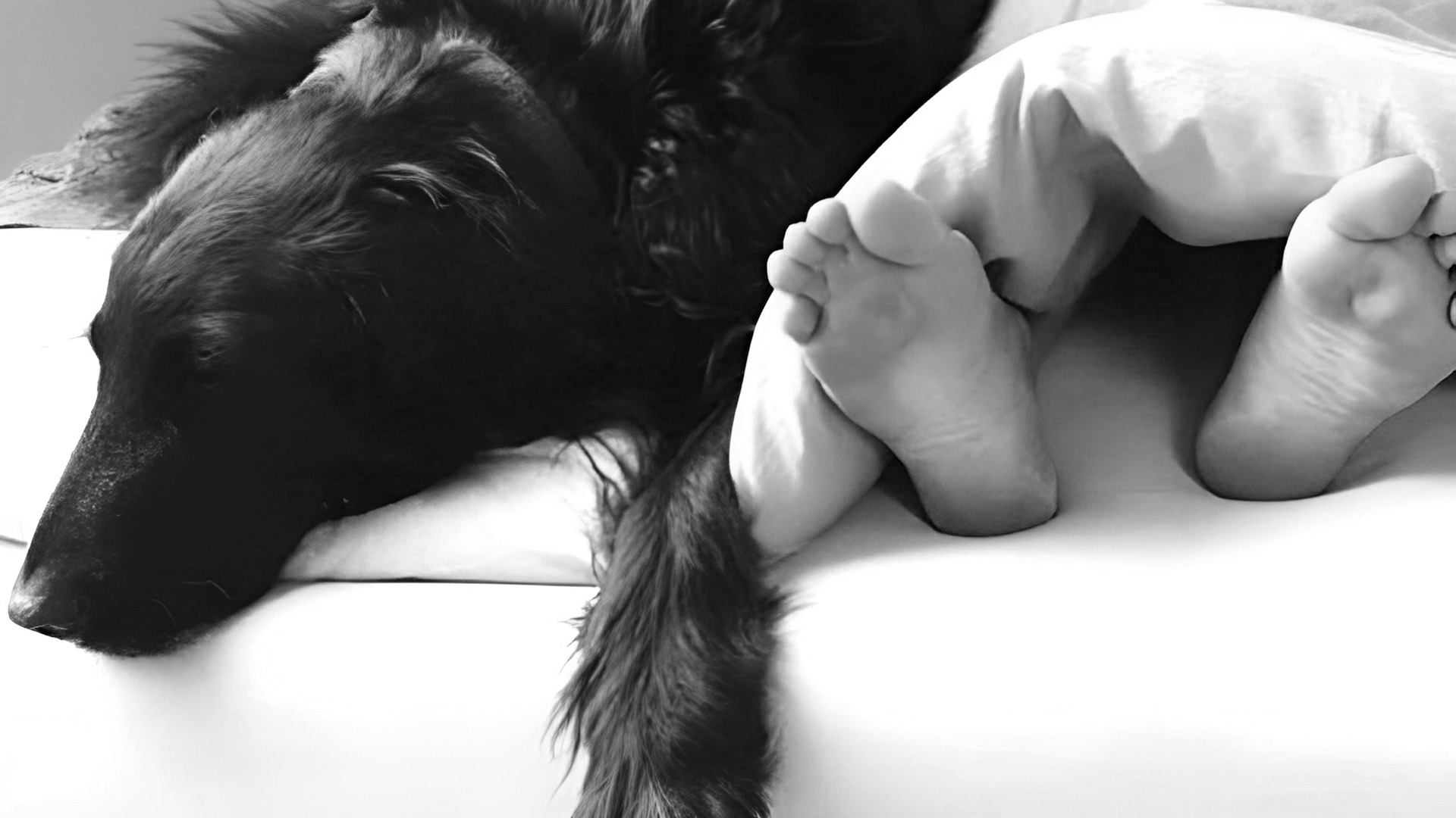 Yoga Nidra Tiefenentspannung